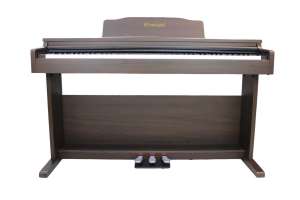 Изображение Solista DP200BR