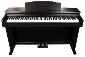 Изображение Solista DP200R