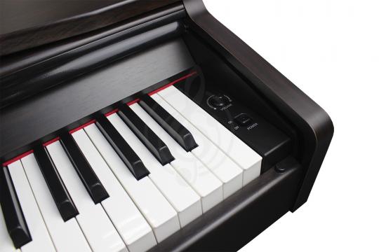 Цифровое пианино SOLISTA DP801R - Цифровое пианино, цвет Вишня - фото 3